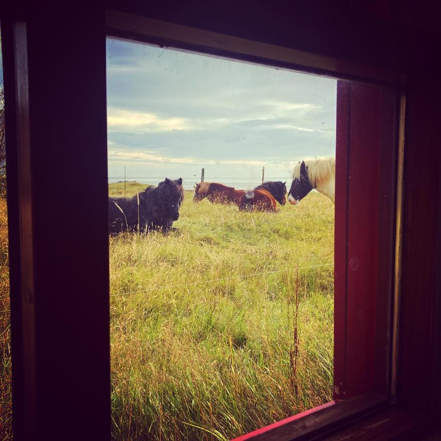 Dynjandi Guesthouse Höfn Exteriör bild