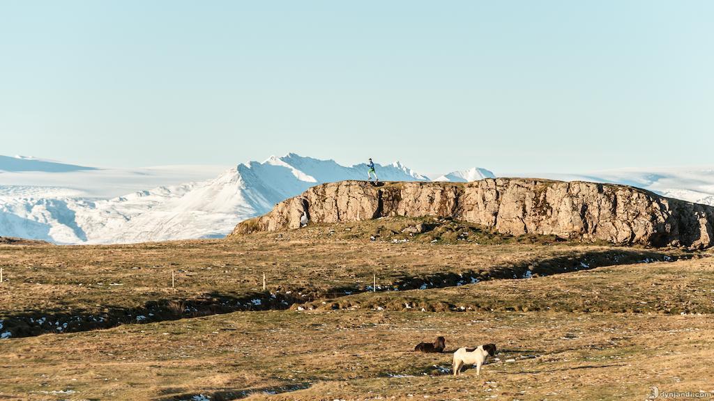 Dynjandi Guesthouse Höfn Exteriör bild