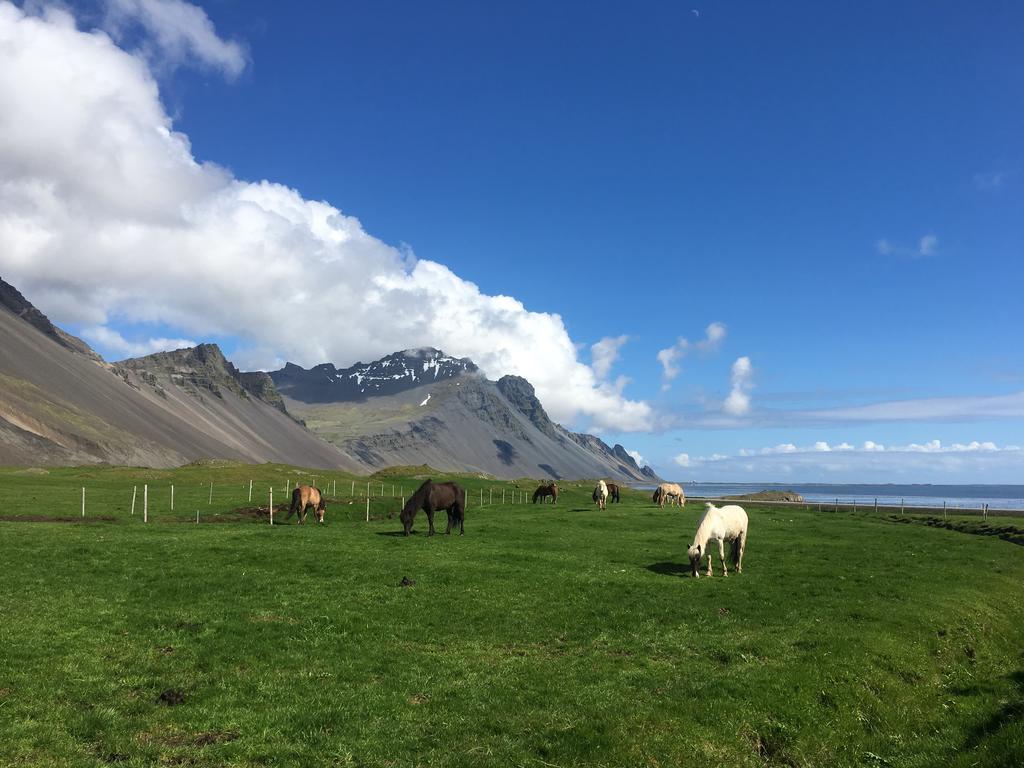 Dynjandi Guesthouse Höfn Exteriör bild
